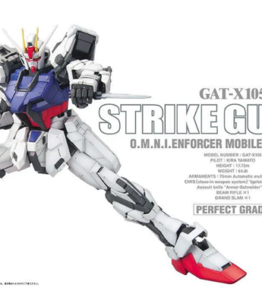 Pg gundam strike 1/60