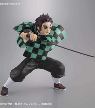 Demon slayer tanjiro kamado model kit