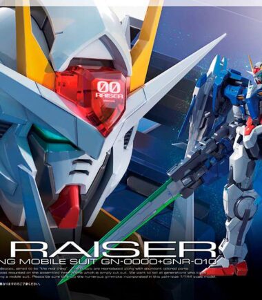 Rg oo raiser + gnr 010 1/144