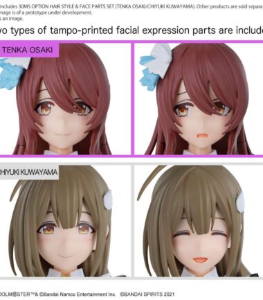 30ms option hair style & face parts set tenka osaki/chiyuki kuwayama