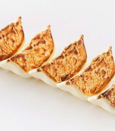 Gyoza plastic model kit