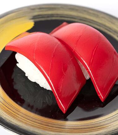 Sushi tuna plastic model kit