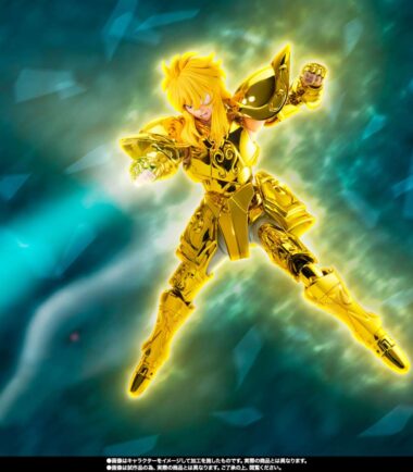 Saint cloth myth ex aquarius hyoga inheritor of the gold cloth