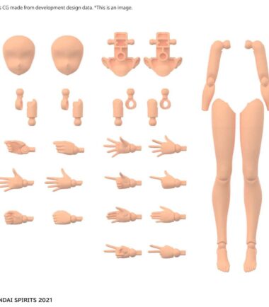 30ms op body parts arm & leg color c