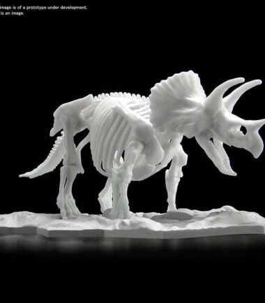 Dinosaur limex skeleton triceratops mk